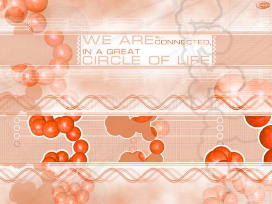 Circle Of Life
